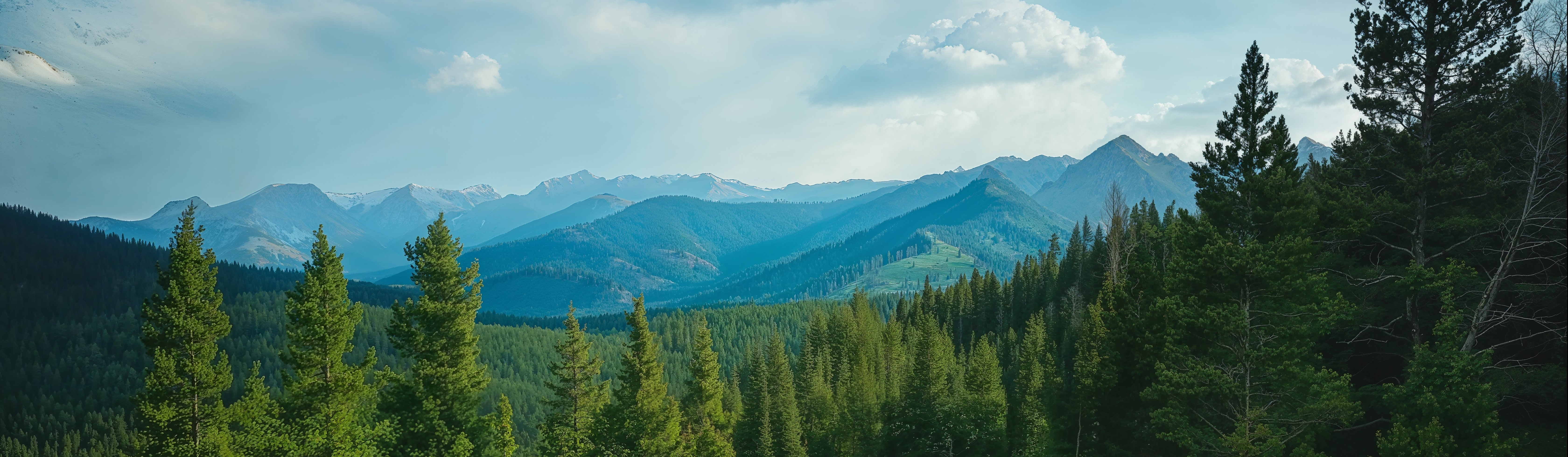 Panoramic Mountain Landscape with Forest
